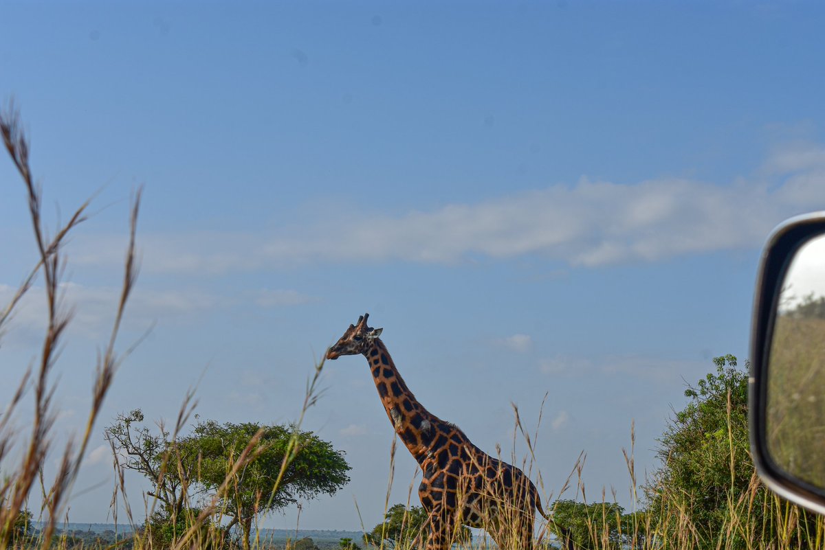 PrinceofTravel3's tweet photo. Have you taken on a wild life safari boat cruise yet...

Try booking your trip with us. https://t.co/4NDdxOjdkW