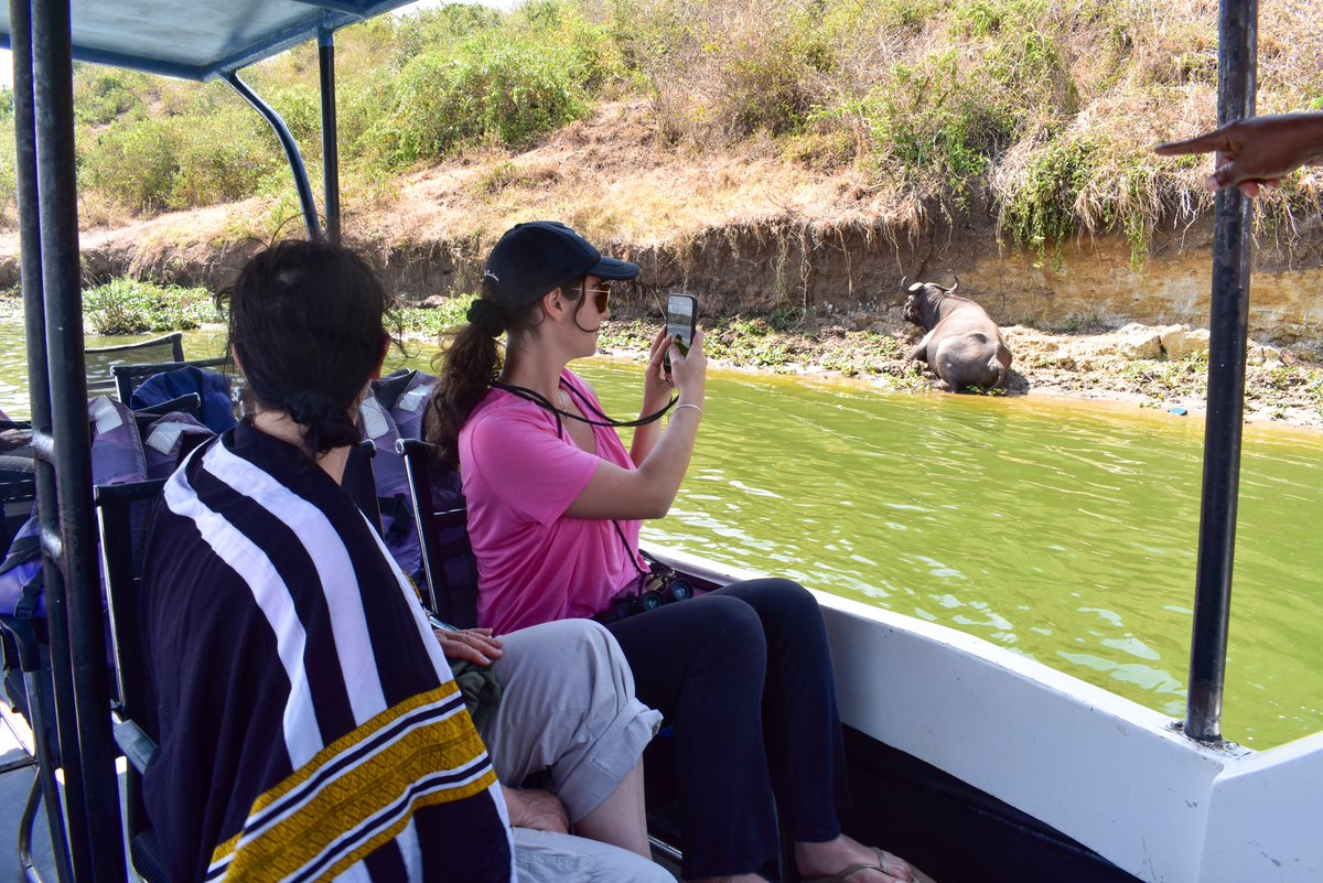 PrinceofTravel3's tweet photo. Have you taken on a wild life safari boat cruise yet...

Try booking your trip with us. https://t.co/4NDdxOjdkW