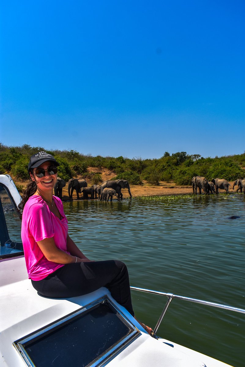 PrinceofTravel3's tweet photo. Have you taken on a wild life safari boat cruise yet...

Try booking your trip with us. https://t.co/4NDdxOjdkW