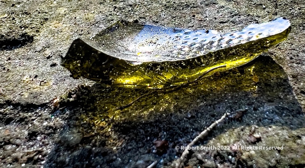 iraqdad1216's tweet image. Cellpic Sunday: Beauty in Broken Glass

The texture, the refraction, the splendid way light is captured and cast on stone. I’m so glad I paused for beauty!

#cellpicsunday #cellpic #Sunday #TwitterNatureCommunity ⁣#robertsnapspot #Apr2022 ⁣#shotoniphone13promax #pointofview