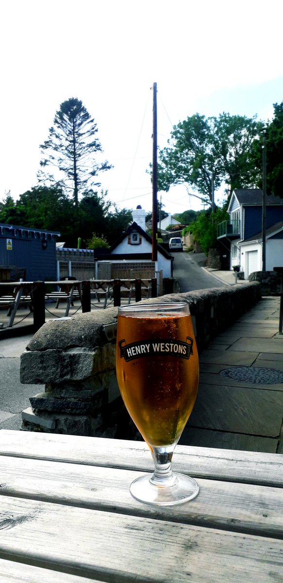 LZellas's tweet photo. Hair of the dog at the Glyn y Weddw,where I've just been watering plants and feeling like the only person in the world not watching the women's football.
#SundaySup https://t.co/JDk9RzHxxo