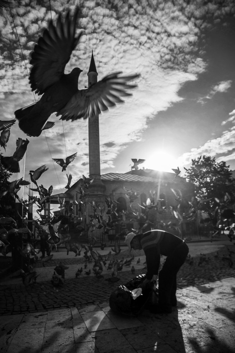 Bu fotoğrafı etkili kılan özellikler
✅Zamanlama
✅Kuş ve işçinin konumu
✅Konu dışında dikkat dağıtacak başka bir obje olmayışı
✅Ters ışık
✅Siyah beyaz seçimi ile tarihi yapılan vurgu...
#canon #nikon #iphone #samsung #fotograf #Turkey #photography #iphone15pro  <a href="/ProfDemirtas/">Özgür Demirtaş</a>