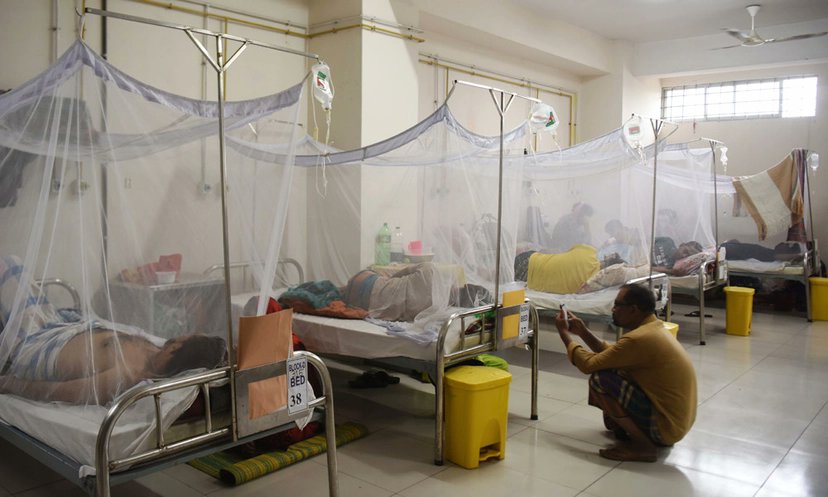 ডেঙ্গুতে আরো ১০ জনের মৃত্যু
