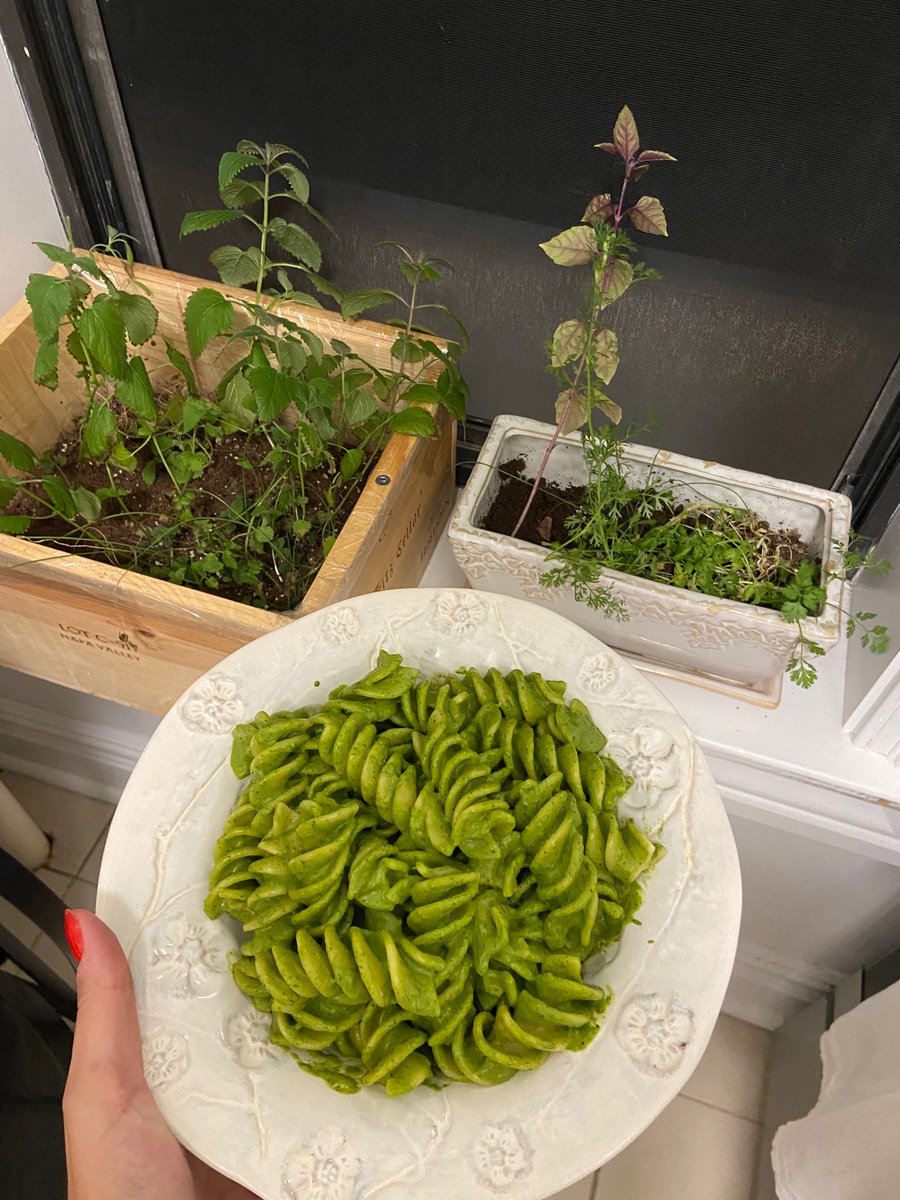 Made pesto with the addition of some herbs I grew from seed in my home ❤️ Tasted like shit I had cereal after