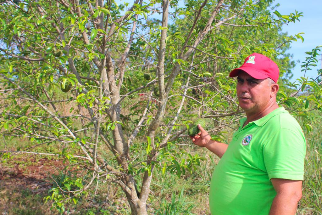 🌳Escucha a Onay Martínez contar cómo desde el manejo sostenible de tierras contribuye a su comunidad. 🍐Trabajamos junto a @theGEF e instituciones cubanas para impulsar prácticas hacia el desarrollo sostenible en espacios locales. 📽️bit.ly/3qLGIVr #GEFassembly2023