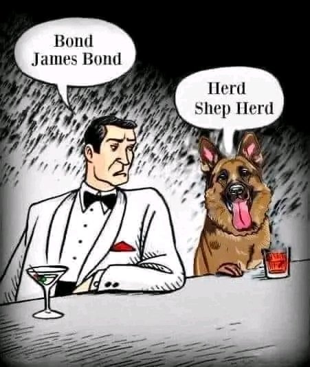 German Shepherd tweet media