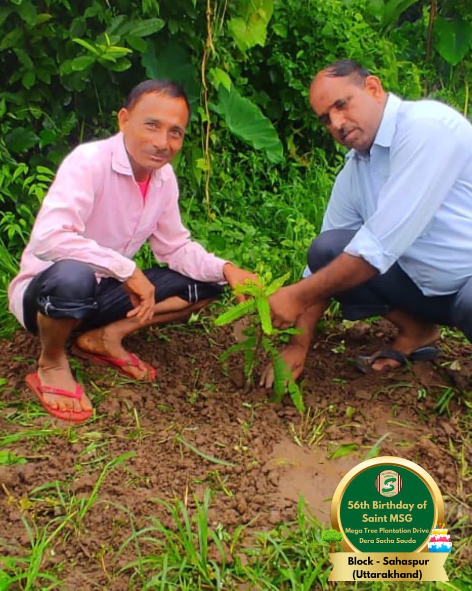 GreenSwelfares's tweet photo. Trees are the best kind of birthday candles! 🌳 Checkout glimpses of #TreePlantation By #DeraSachaSauda Volunteers from Sahaspur, Uttarakhand on the occasion of Saint Dr. MSG's Birthday. #56thBirthday #SaintDrMSG https://t.co/KCUCfDTyRG