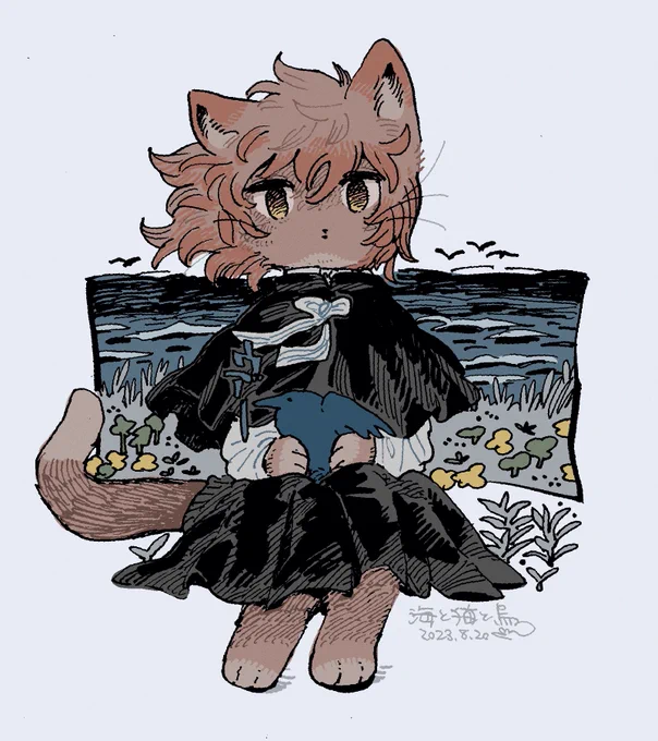海と猫と鳥 