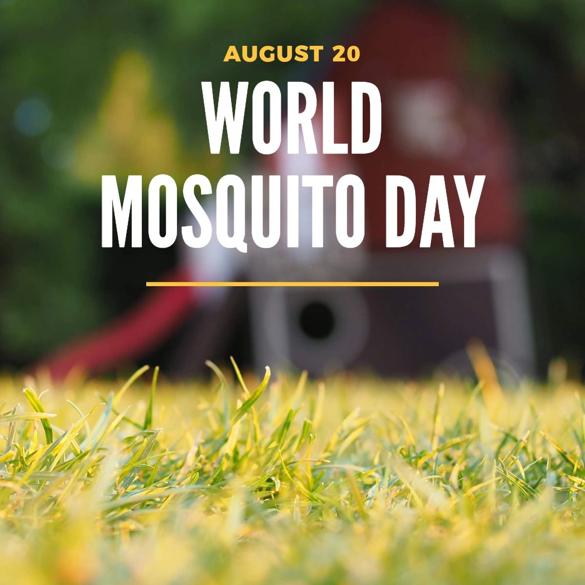 KnoxPest's tweet photo. Don't let mosquitoes ruin your summer fun! Celebrate World Mosquito Day by protecting yourself and your loved ones from the risks of mosquito-borne illnesses through proper pest control. We're here to help. To schedule a service today, visit https://t.co/3iAaVZNGjP. https://t.co/suXrOZIBqg