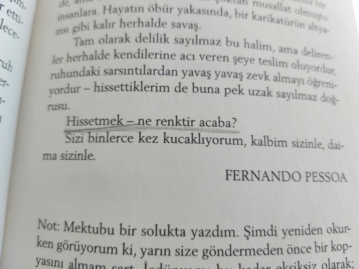 balböceği 🐝 tweet media