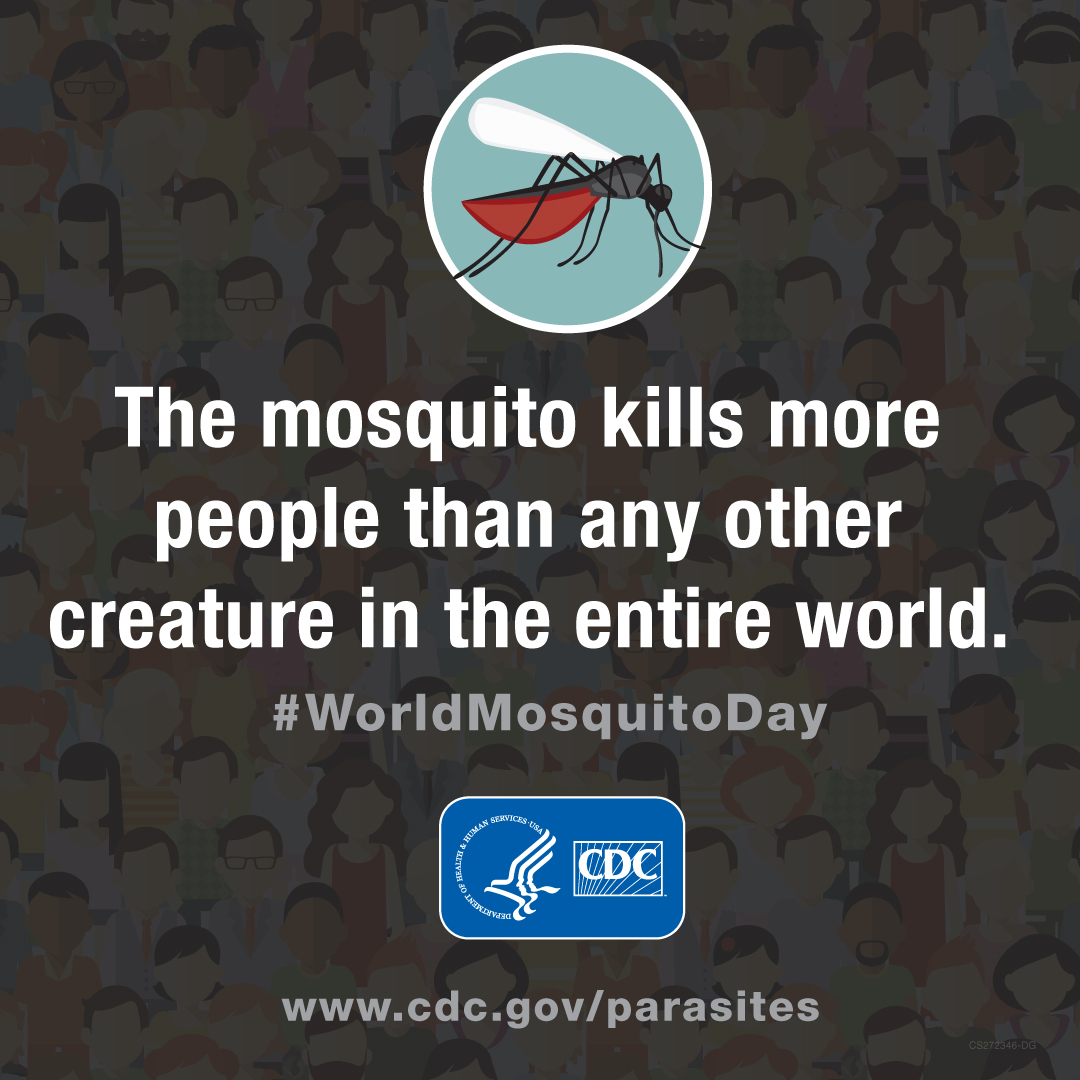 Today, we recognize #WorldMosquitoDay. Despite their size, these tiny insects have a huge global health impact. Read how <a href="/CDCgov/">CDC</a> works with partners around the world to reduce disease &amp; death caused by 🦟. bit.ly/3OE7bfz