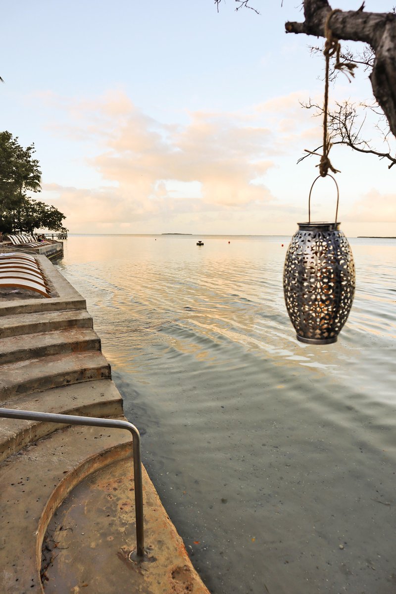 Come focus on your health and wellness in the beauty of the Florida Keys during our ReFLEXions weekend from September 15 through September 16! ✨

Learn more and book: …flexionsatplayalargo.offeringtree.com