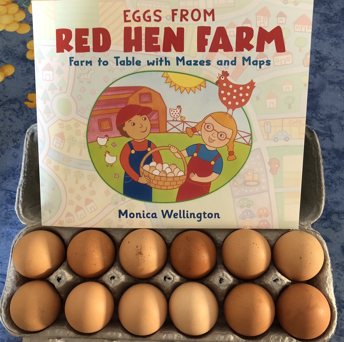 Monica Wellington tweet media