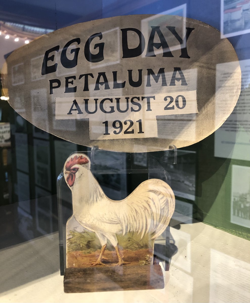 Back from Petaluma, CA - once known as "Chickaluma" and the "Egg Basket of the World" - and Surprise: paperback copies of EGGS FROM RED HEN FARM were waiting for me! Celebrating #paperbackpublication #newinpaperback Thank you <a href="/holidayhousebks/">Holiday House Publishing, Inc.</a>