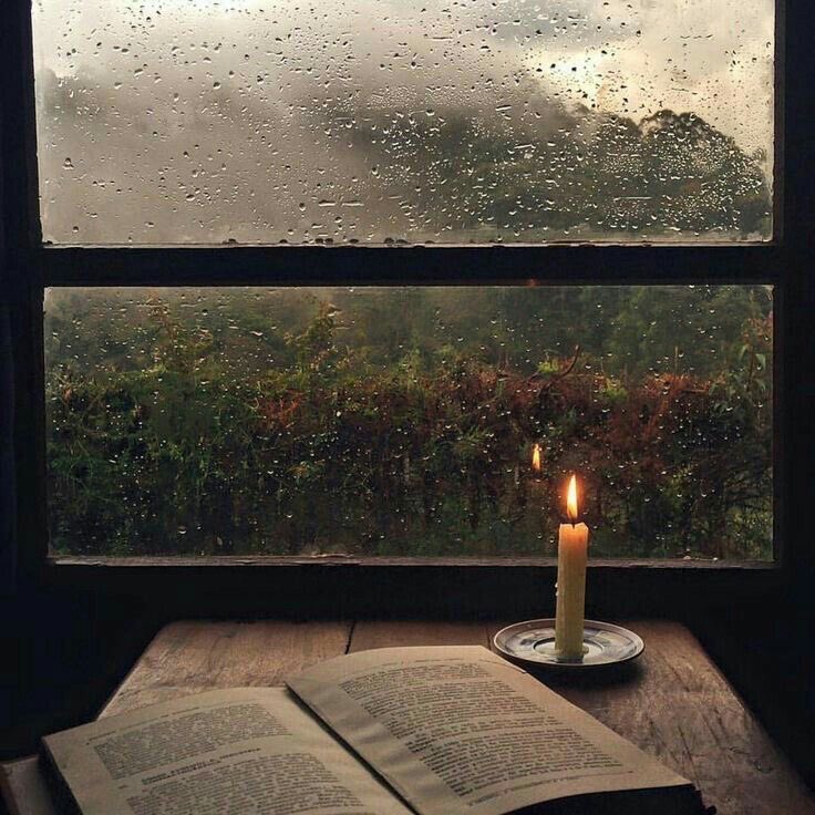violettweets_'s tweet photo. rainy days. https://t.co/VtS4EZBl6G