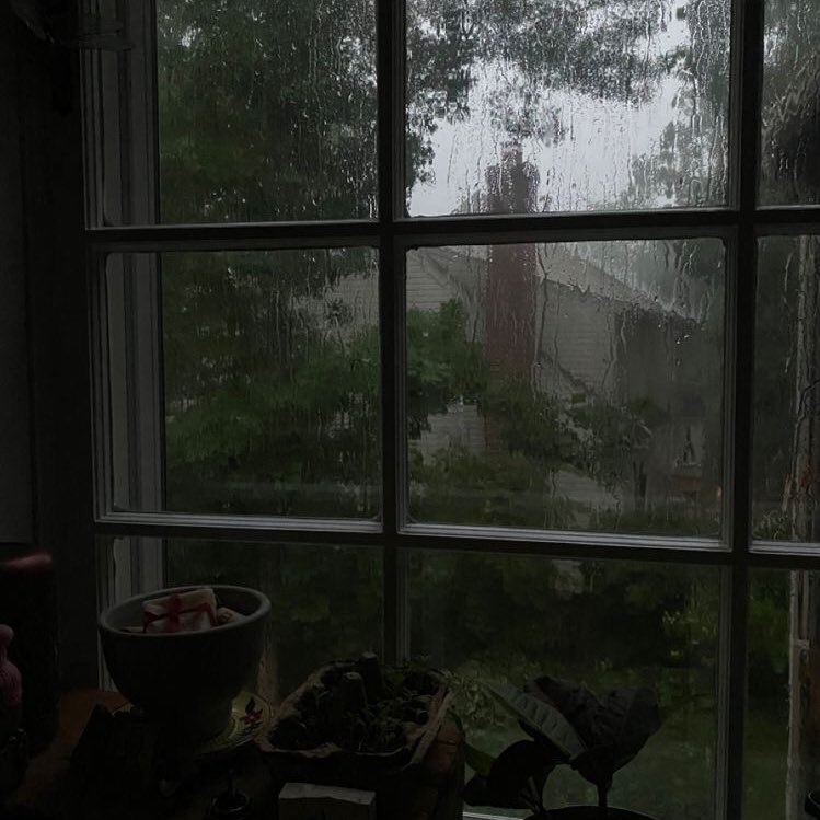 violettweets_'s tweet photo. rainy days. https://t.co/VtS4EZBl6G