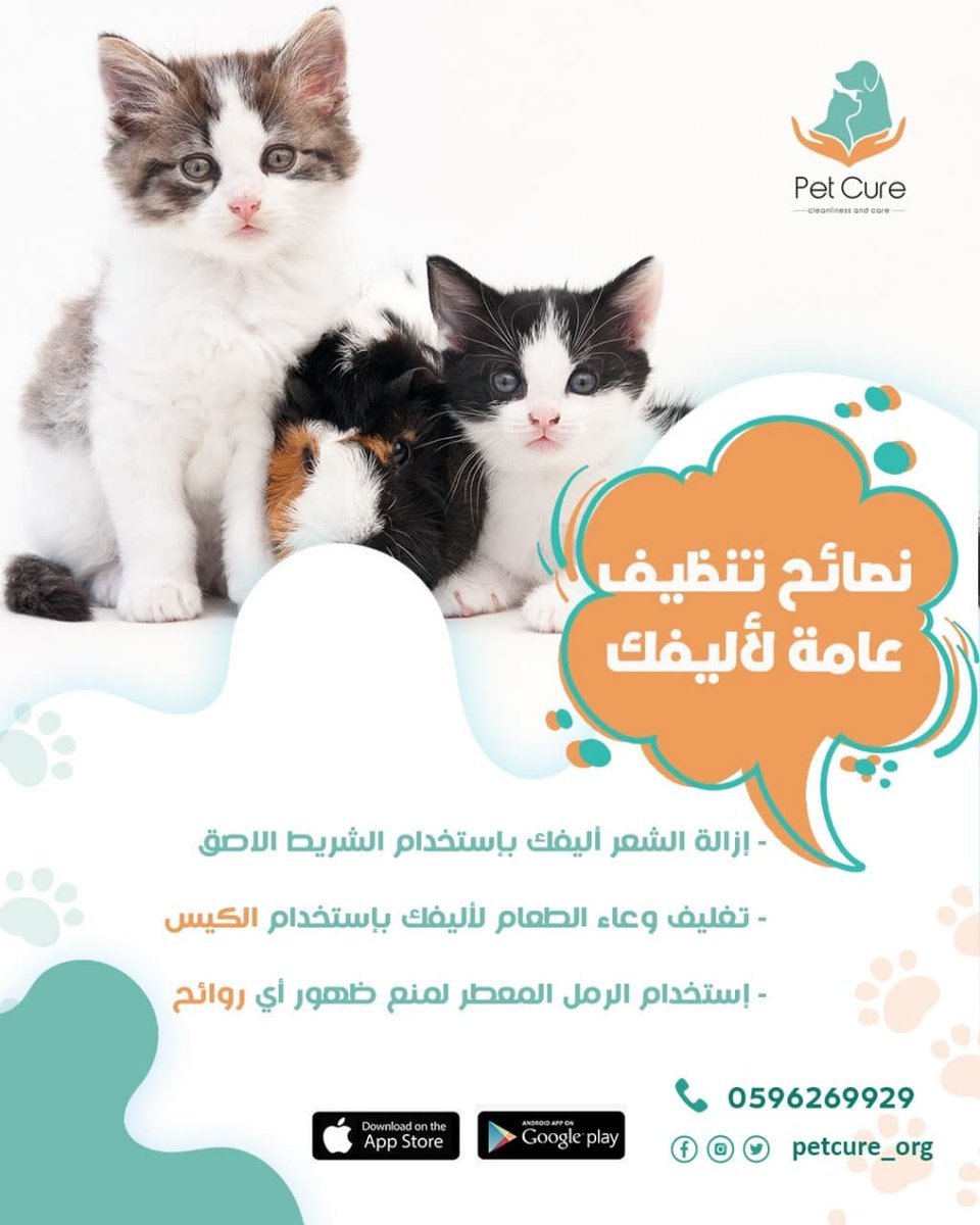 Petcure_org's tweet photo. دلع ونظافة أليفك عامل كبير في صحته النفسية🐈🦮
لاتشيل هم مع Pet Cure🐶
#petcure
#قطط #كلاب #حيوانات_أليفة #dog #cat #cute#cats #kittycat
#Pets #pet_cure #petsupply #pet_photography #petcare #pet_services #pethealth #petsupplies https://t.co/m6E8DftnU7