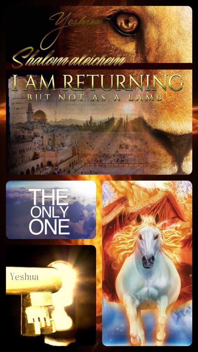 bbbthatsright's tweet photo. The 40 Days of Elul (Day 4): Can We Even Trust One?! There Is Only ONE!:

https://t.co/v8Abrrbr4W

#ONE #ECHAD https://t.co/whd479MnqL
