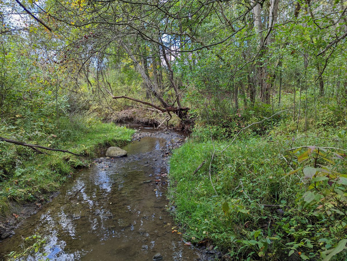 west_creek's tweet photo. So…we might as well put it out there - a little more good news to share! Another 30 acres protected in the headwaters of #TinkersCreek 

A partnership with #Glenwillow &amp; Ohio Public Works Commission #CleanOhio 

#ProtectRestoreConnect 
#LoveWhatWeDo 
#ProgressThroughPartnerships https://t.co/Ali7JzRCwA