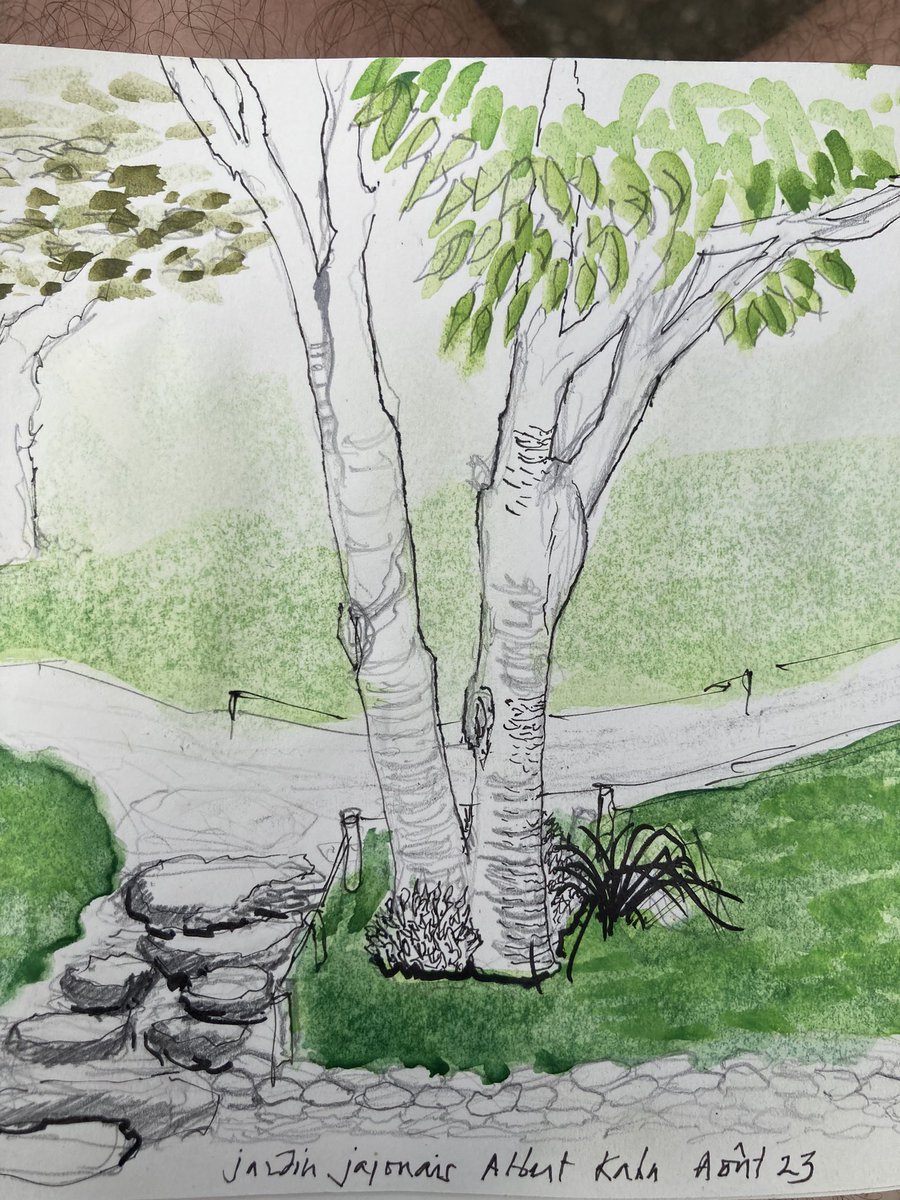 Toujours dans les Jardins Albert Kahn, dans le jardin japonais #AlbertKahn #Beauté #Bellezza #Schonheit #Garten #Giardini #Gardens #drawing #dessin #disegno