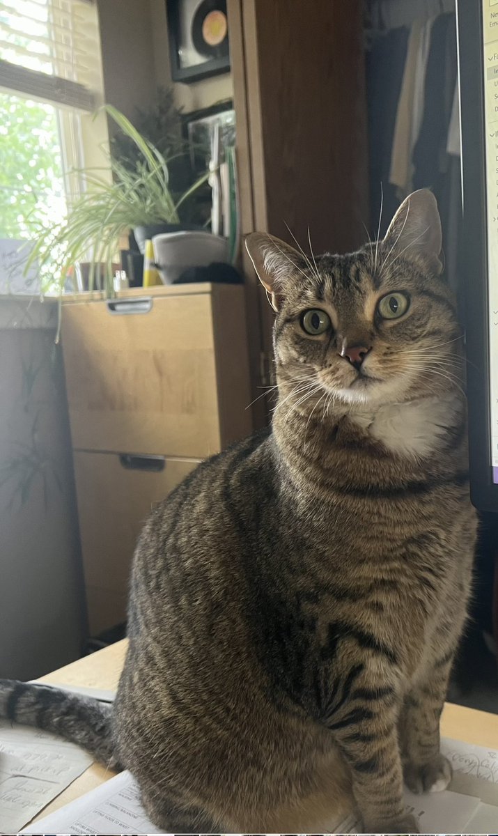 Sheila Goodwin tweet media