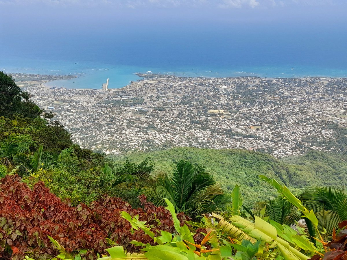 Judith Ravin tweet media