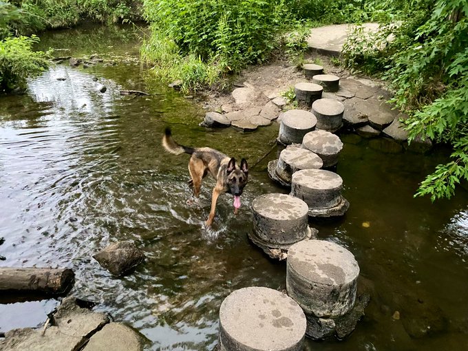 Midway point. Making a pit stop for a bit of outdoor time. https://t.co/Fp8QlWLORi<a href="/tag/jordancon"class="tags"><span>#jordancon</span></a><a href="/tag/jordancon2024"class="tags"><span>#jordancon2024</span></a>