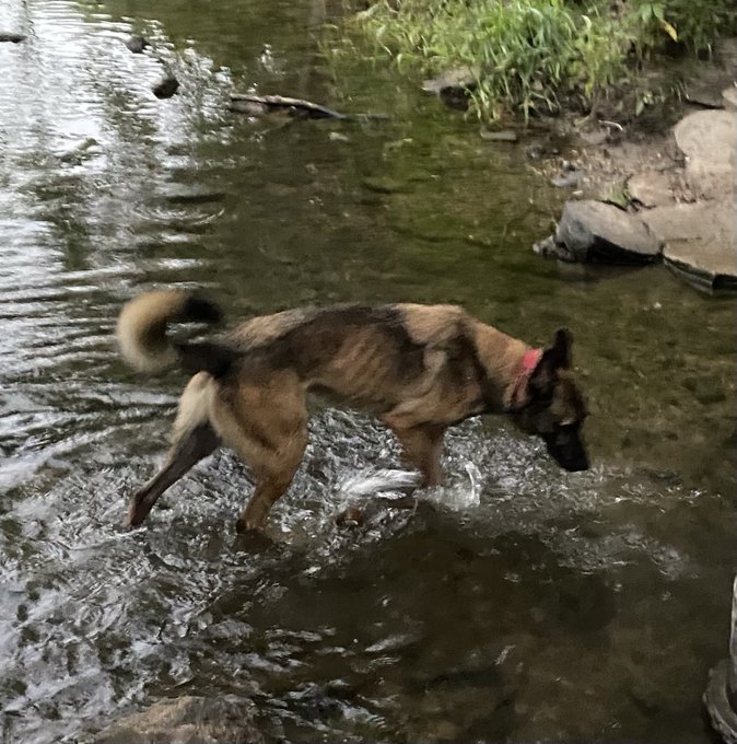 Midway point. Making a pit stop for a bit of outdoor time. https://t.co/Fp8QlWLORi<a href="/tag/jordancon"class="tags"><span>#jordancon</span></a><a href="/tag/jordancon2024"class="tags"><span>#jordancon2024</span></a>