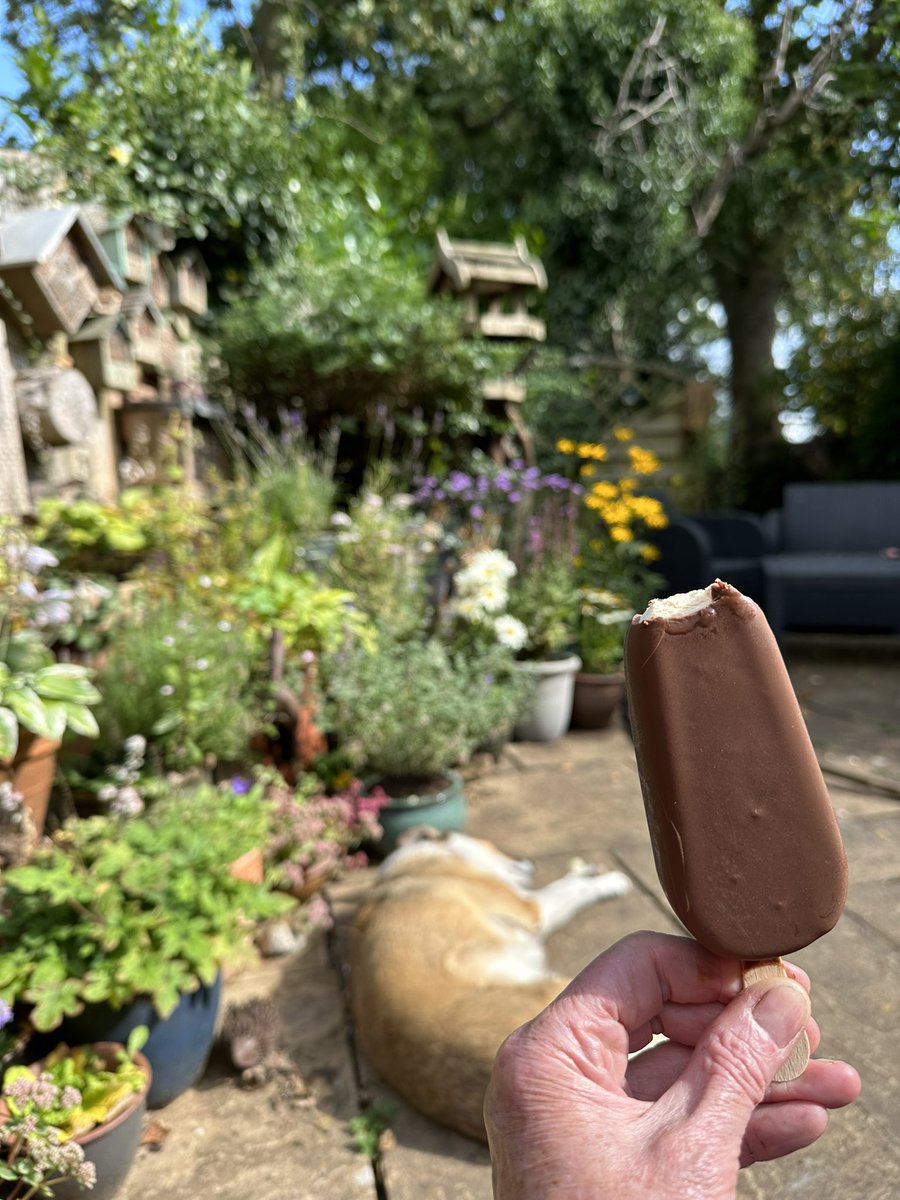 A brief pause in outside packing jobs to enjoy the sunshine on my patio ….. 😁❤️🍦☀️