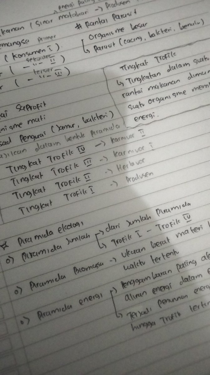 flowaurss's tweet image. *⁠.⁠✧｡⁠☆📓 {20/08/23}
biologi dan ekonomiii hari ini
rest well semuanyaaa 🫶🏻💘🌷