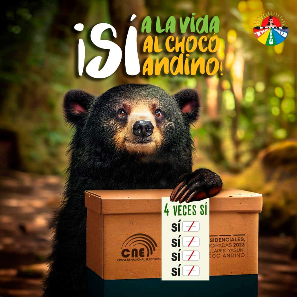 FNAntiminero's tweet photo. 🍃💚 Hoy es un día histórico para la humanidad. Si quieres formar parte de esta hazaña recuerda votar #SiAlYasuni y #SialChocoAndino. Todas y todos votamos por la vida. https://t.co/DphzfqwrKi