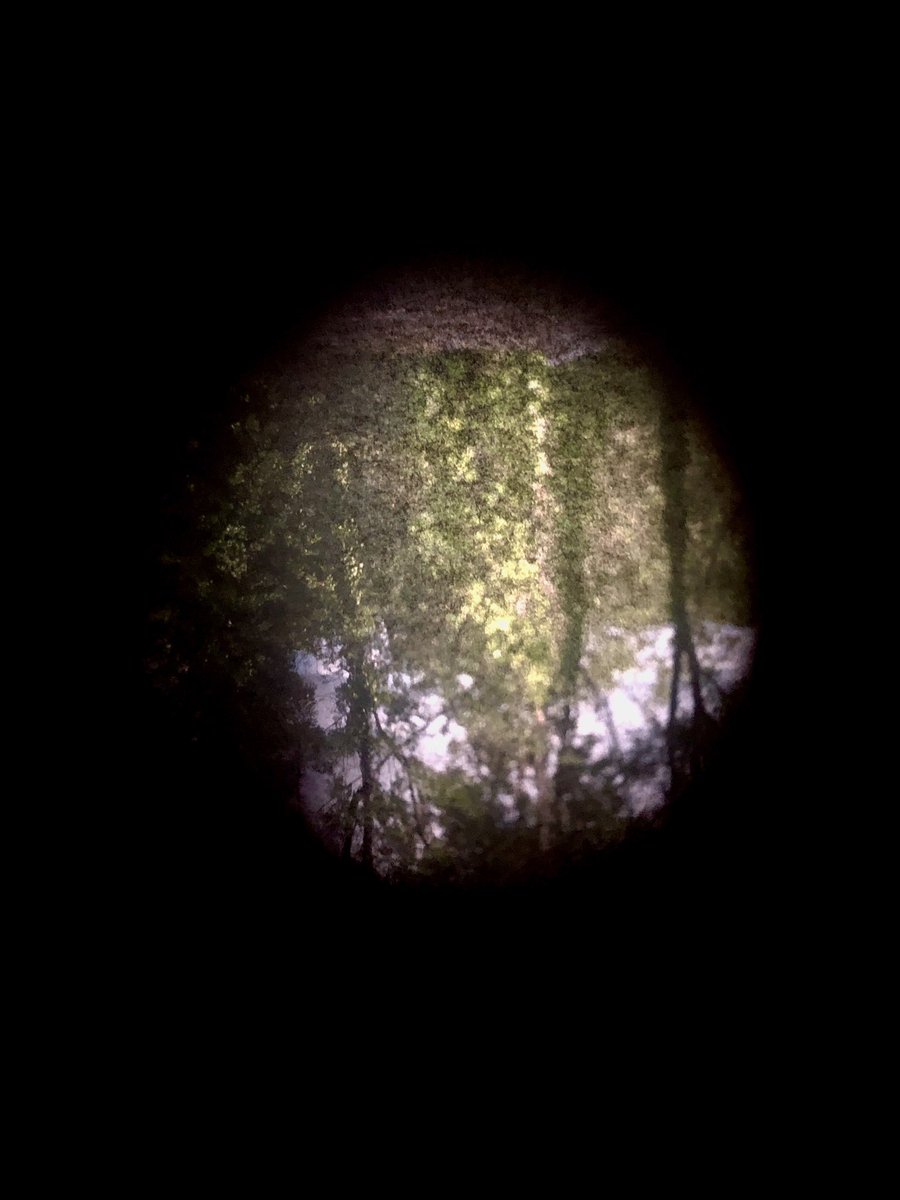 TobyVPhoto's tweet image. That #projectorlens has made it into a #CameraObscura 
I’m live streaming the outside in analogue! No HD. No cables. It’s in full colour and everything.