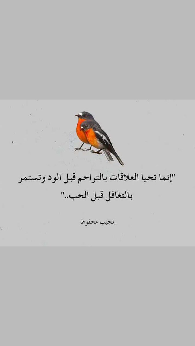 abdulqawi alsofi (@alsofi659) on Twitter photo 