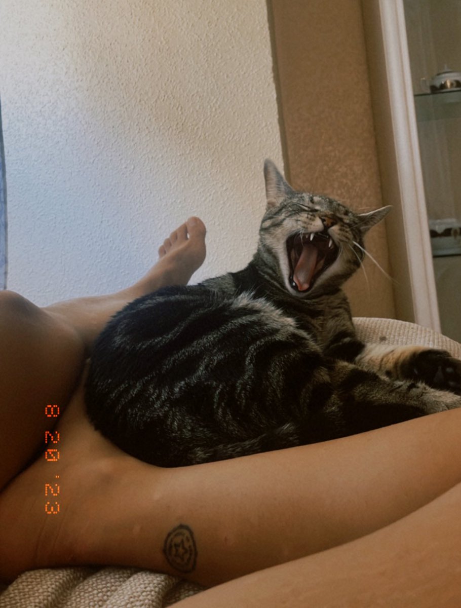 silviluux3_'s tweet image. no tengo nada #asqueadamood #cansada #megustaquejarme #quieropaz