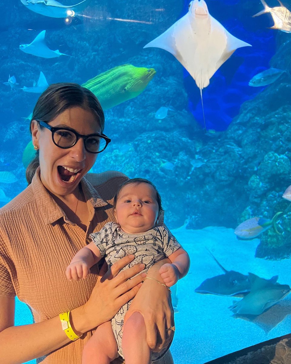 Jso7151's tweet image. We had the best time at the aquarium! Benji loved all the colors. We loved how much he enjoyed it.