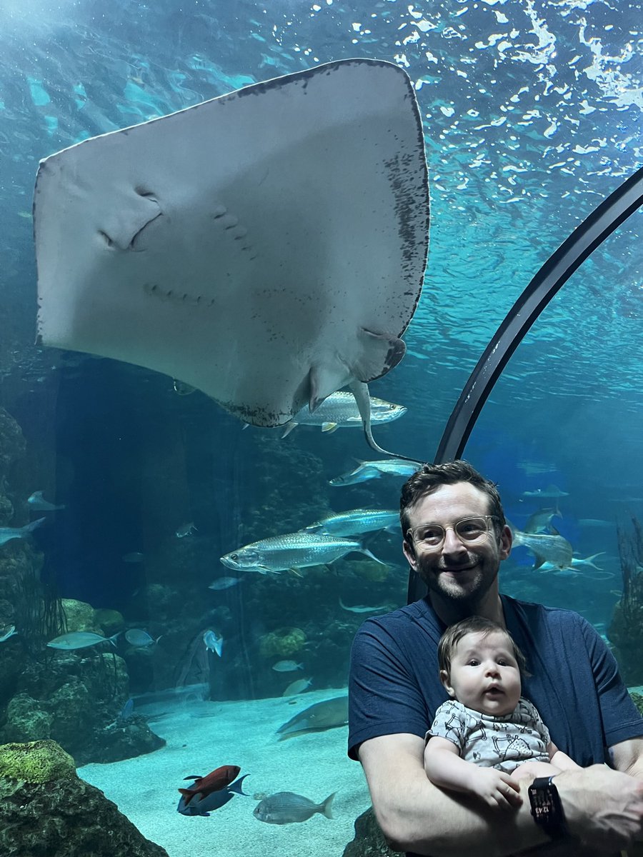 Jso7151's tweet image. We had the best time at the aquarium! Benji loved all the colors. We loved how much he enjoyed it.