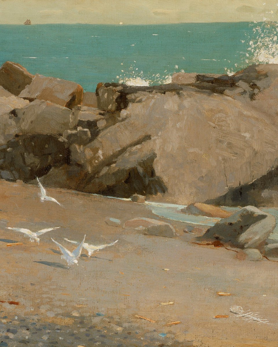 Our only job today? Beach.

🎨 : #WinslowHomer, detail of 'Rocky Coast and Gulls' (1869), oil on canvas