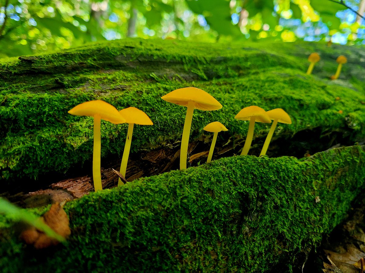 •Palmer• tweet media