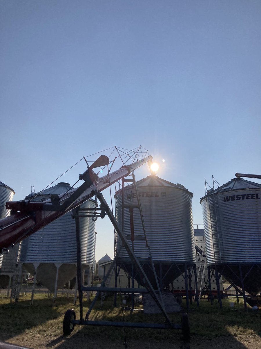 Oh the pain is real!