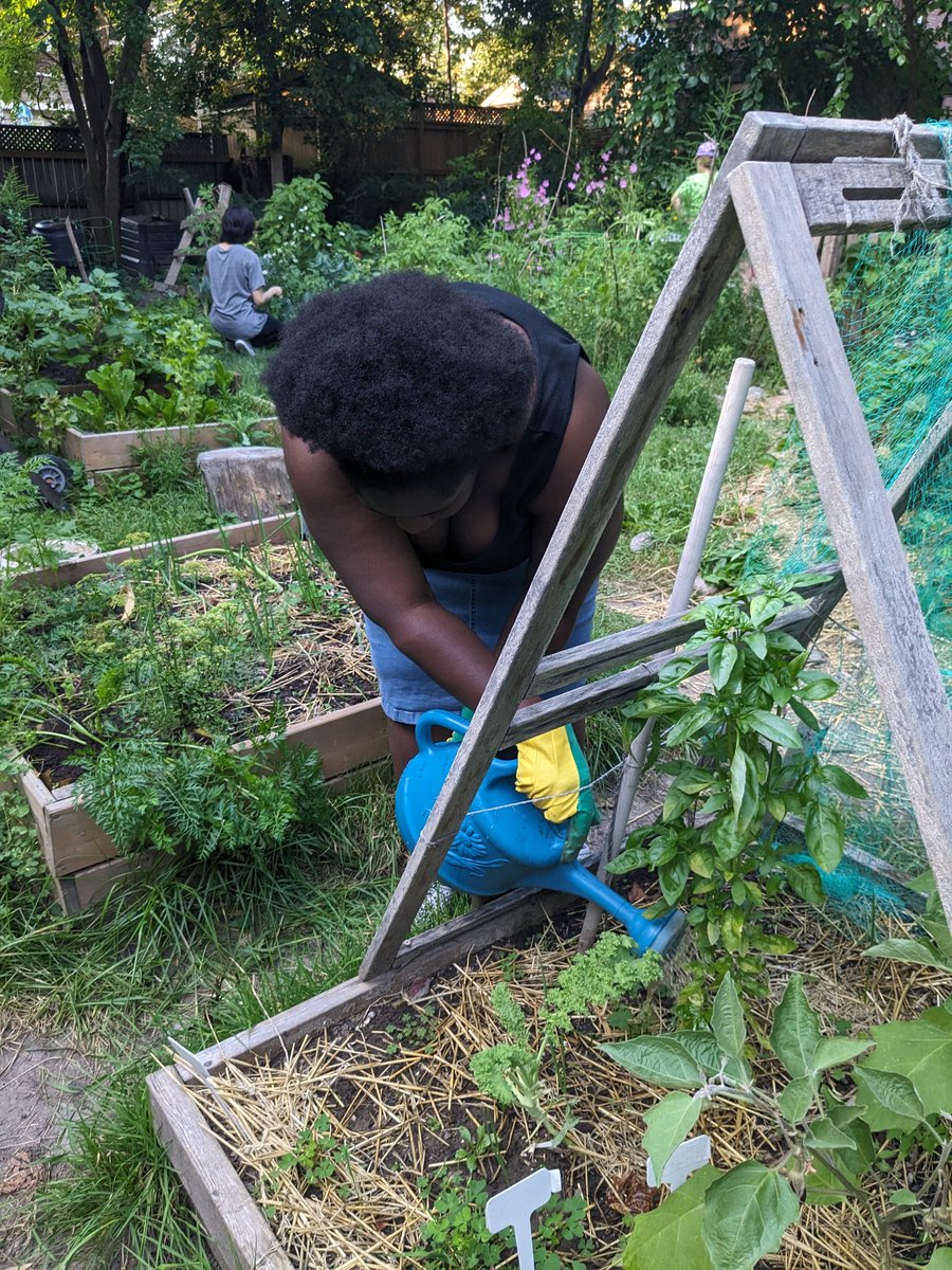 GardenKimbourne's tweet image. Garden@Kimbourne is "Spilling the Tea About Compost Tea!" Head on over to kpuc.org/garden to read our blog in our Garden Journal about what compost tea is and its benefits.
We source our compost tea from @CrookedFarmz, visit crookedfarmz.net 
#compost 
#composttea