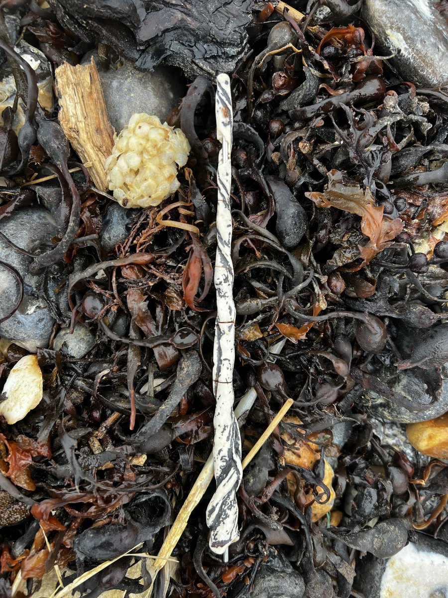strandliner's tweet image. #HarryPotter wands get everywhere! #Cuckmere #strandliners #cleanseasplease