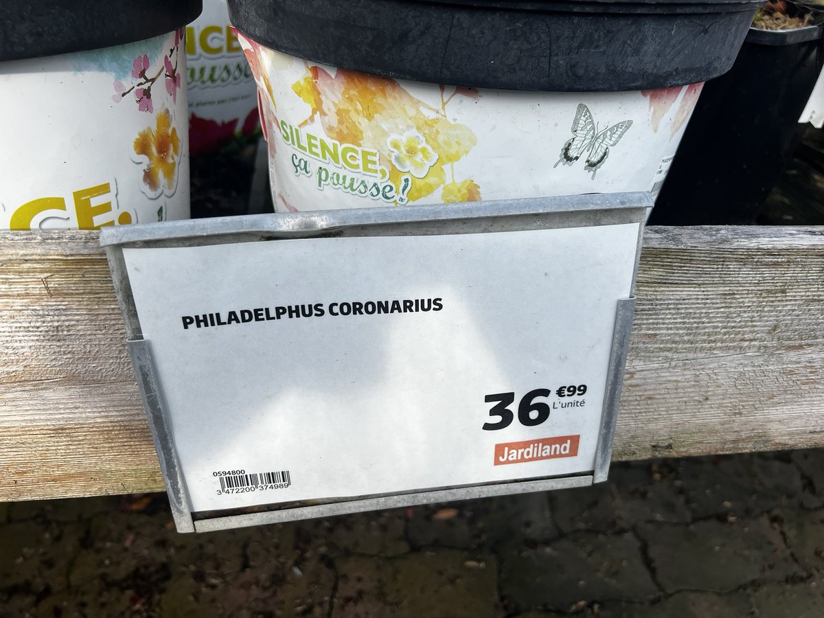 Le coronavirus est vraiment partout. Ils en vendent même chez Jardiland maintenant