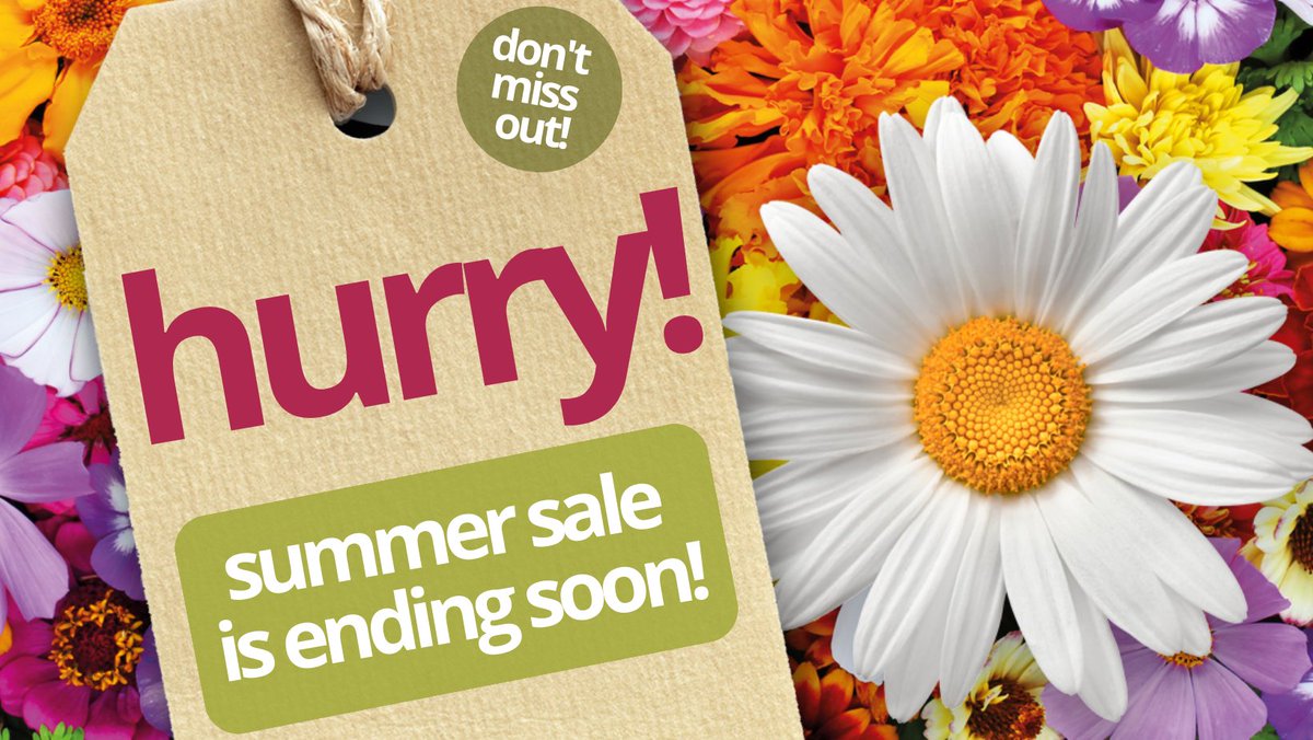 only two weeks left of our summer sale! 🌻

don't miss out on your chance to find your dream home at a reduced price, with over 2500 properties still in our sale, you won't want to miss out. 

>> hurry! search our sale today
brnw.ch/21wBMA6
