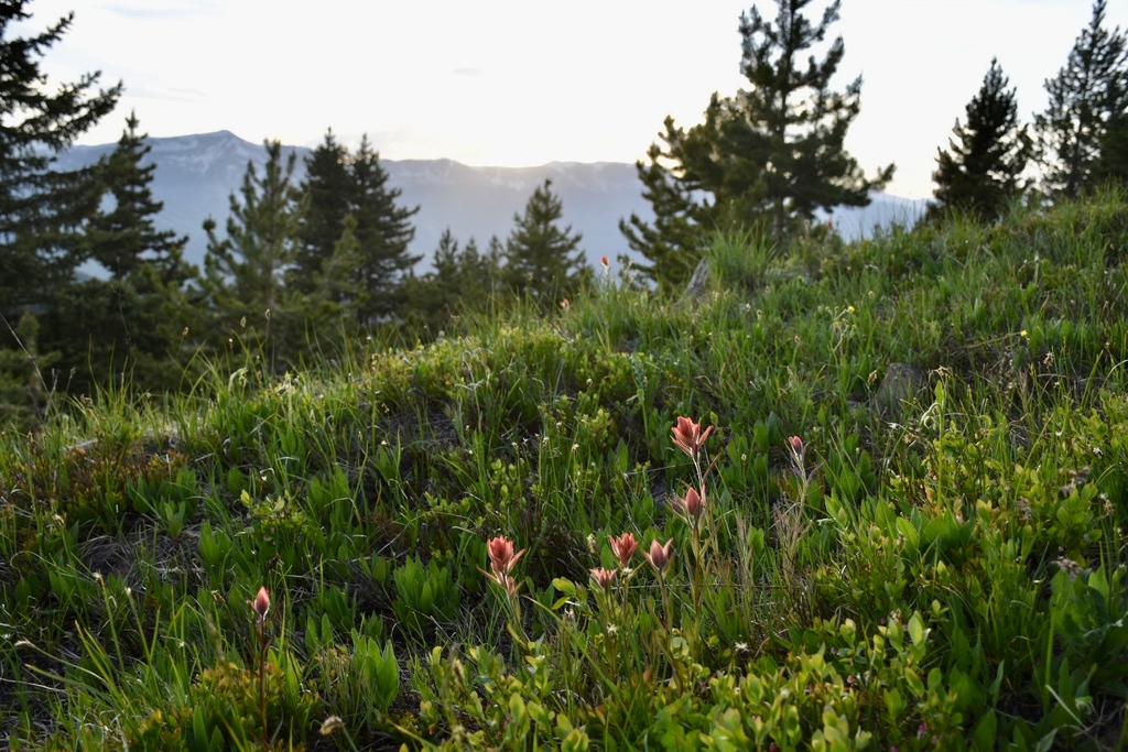 VisitBreck tweet media