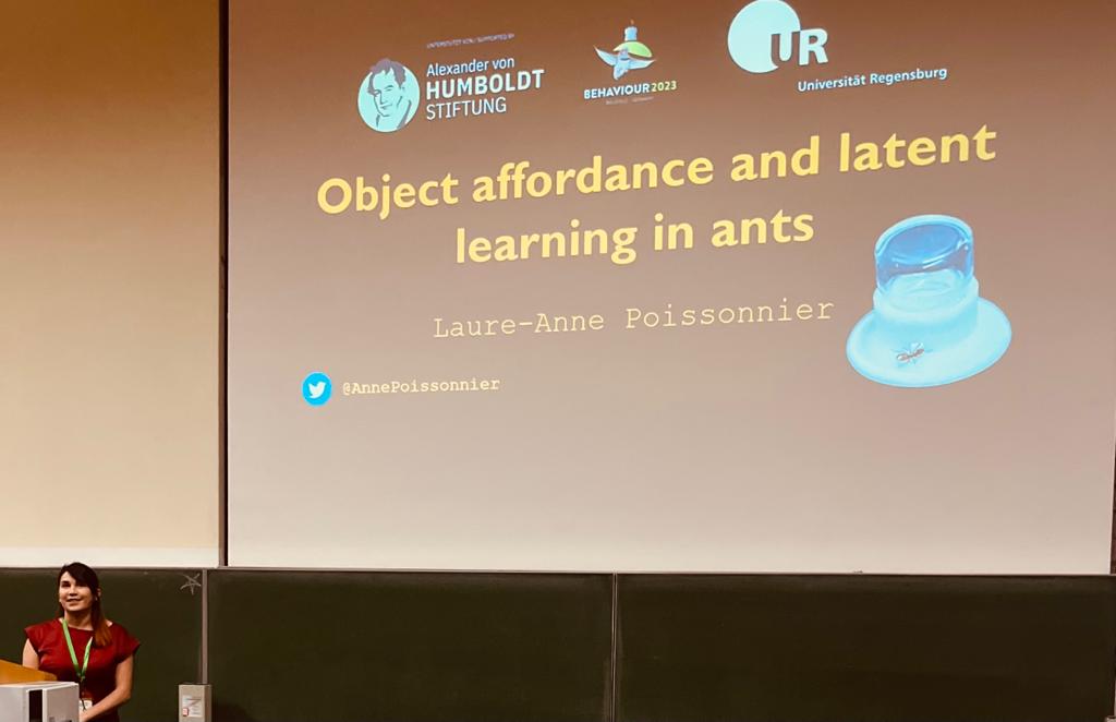 Super happy to have presented the first results of my Humboldt project. If you want to hear more about it it will be out in PNAS next week! #Behaviour2023