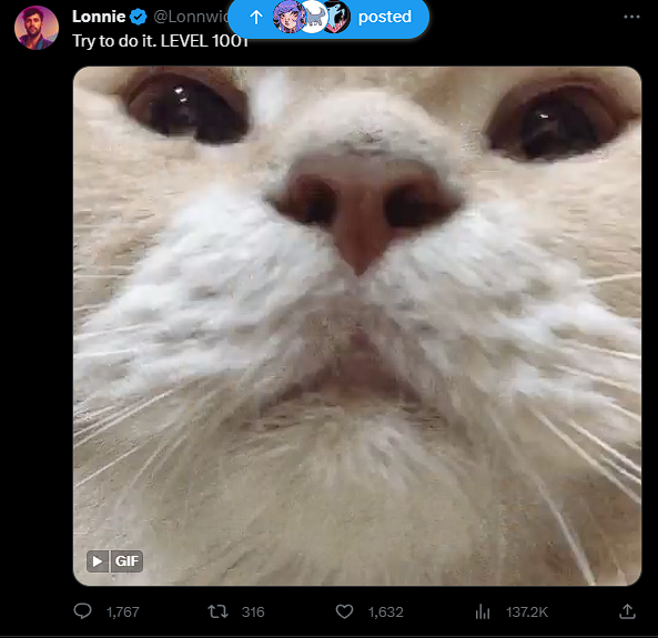 JetSniffa39931's tweet photo. @Lonnwick 3 tries https://t.co/MKmCVtWntO
