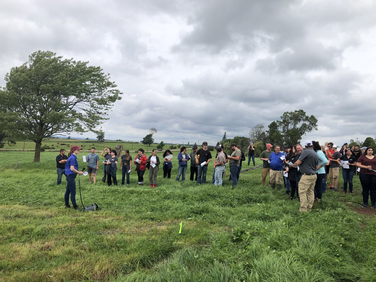 Perennia’s Livestock Specialist, Katie Trottier shared a great demonstration at the AAFC/MBV Forage Field Day in Nappan. She provided grazing and pasture management ideas to help achieve daily feed requirements of beef cows on pasture.  #OFCAF_NSNL #CdnAg @AAFC_Canada
