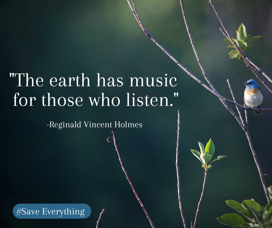 TedTurnerIII's tweet photo. My favorite soundtracks definitely emerge from nature. This little gem of the west – Lazuli Bunting has a name as fanciful as appearance. Bird friendly habitat can be created by planting native shrubs. It’s empowering to know how we can help #saveeverything. Photo: Holly Pippel https://t.co/vQ0L1OAWmj