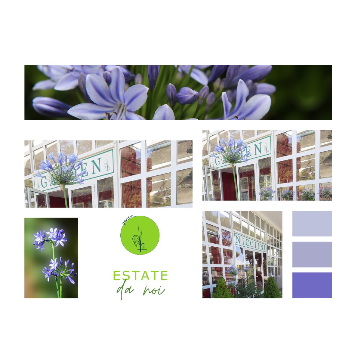 LVN_srl's tweet photo. Se ami il verde tanto quanto noi, non puoi perderti il nostro #3x2 sulle piante di #Agapanthus 💚💙💝 Scopri come coltivarle, abbinarle ad altre piante e mantenerle radiose tutto l'anno 💚💙 https://t.co/GPNH10AMtG