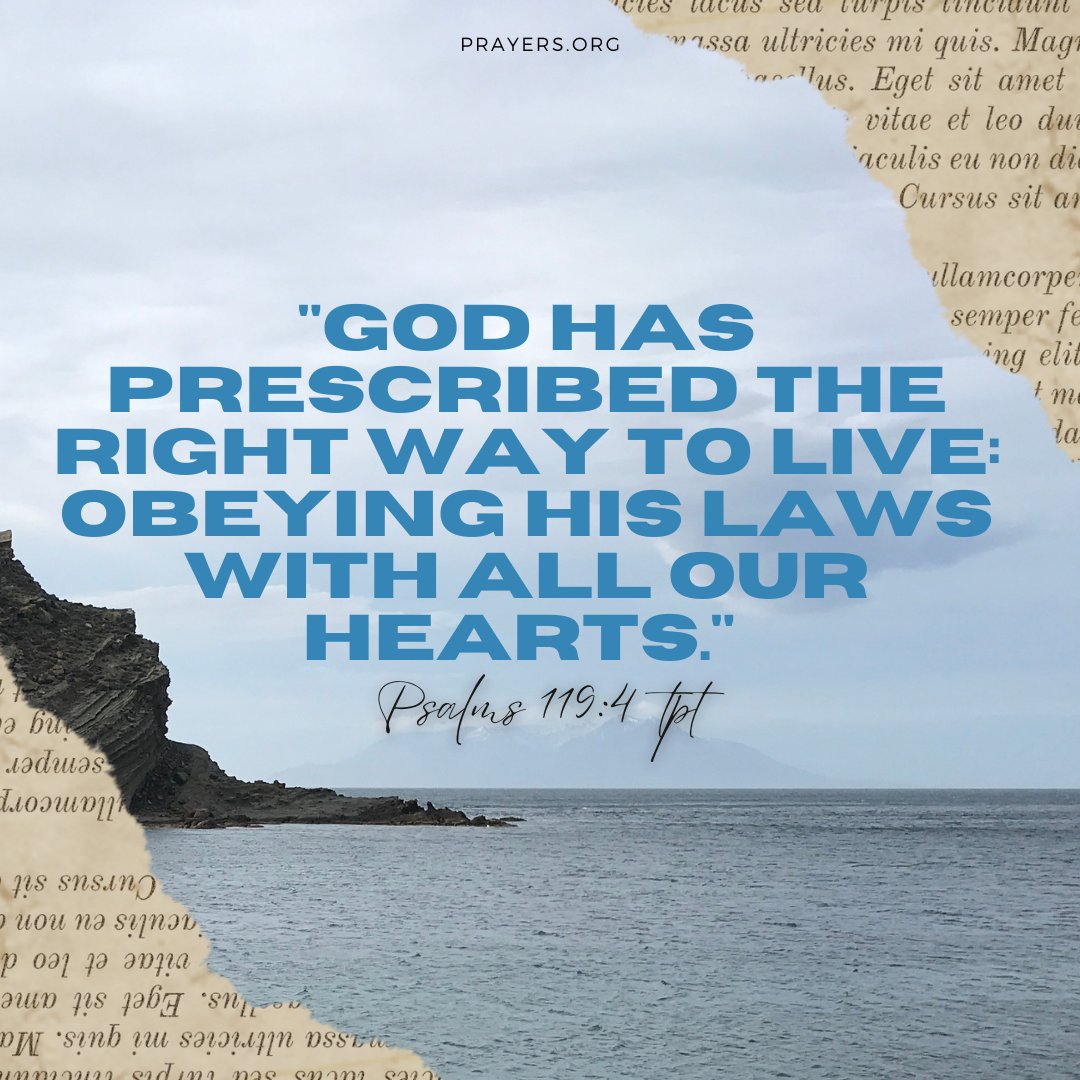 prayers_org's tweet image. God has illuminated our path, and all we need to do is walk in His light. Dive deep into His word and let His teachings guide every step.

#Psalms119 #GuidedPath #DivineBlueprint #FollowHisLead #WordOfGod #BiblicalWisdom #WalkingWithFaith #ScriptureJourney #TrustInHisWord